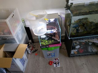 [photo](media:AgADBQADLKkxG0KJmFRUHJzpsAbSdUCkJTMABAEAAwIAA20AAxLVAQABFgQ@telegram)