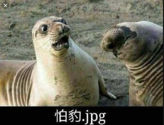 [photo](media:AgADBQADLKkxG__dgFWiIDjXzEp336my-TIABAEAAwIAA20AAzoOBQABFgQ@telegram)