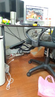 [photo](media:AgADBQADM6kxG1WmqVdmWAFKENN4hSaNAjMABAEAAwIAA20AA87EAQABFgQ@telegram)