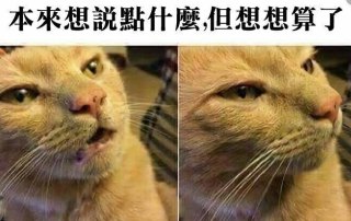 [photo](media:AgADBQADM6kxG8dwsFbVmWSaNpyKVwwhGzMABAEAAwIAA20AA0uBAAIWBA@telegram)