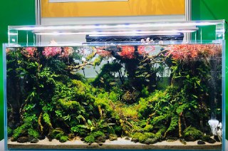 [photo](media:AgADBQADM6kxG__dgFVRZyi4iTI8QXyJAjMABAEAAwIAA20AA6IUBAABFgQ@telegram)