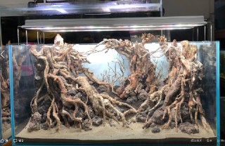 [photo](media:AgADBQADMqkxG__dgFVc6pmyf1Bk4792-TIABAEAAwIAA20AAxKmBQABFgQ@telegram)