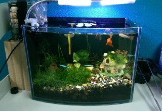 [photo](media:AgADBQADN6kxG8dwsFbLPIsM1e3GjpgqGzMABAEAAwIAA20AA5CAAAIWBA@telegram)