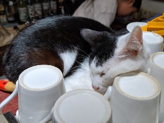 [photo](media:AgADBQADNKkxG-FGSFT07dVp-wLz3sSoJTMABAEAAwIAA20AA-yHAQABFgQ@telegram)