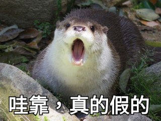 [photo](media:AgADBQADNqkxG-6OoFVERKdRLQp_q1V5-TIABAEAAwIAA20AAz_KBQABFgQ@telegram)