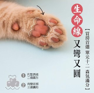 [photo](media:AgADBQADNqkxG-e5oFQ0gtEsJCJeEQKDAjMABAEAAwIAA20AAy_uAgABFgQ@telegram)