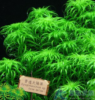 [photo](media:AgADBQADNqkxG8FoCVR88MUE-kmDbUa5JTMABAEAAwIAA20AAytGAQABFgQ@telegram)