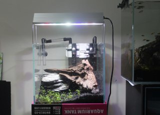 [photo](media:AgADBQADO6sxGwZLgFQIWz-cK7YskssgGzMABAEAAwIAA20AA8BTAgABFgQ@telegram)