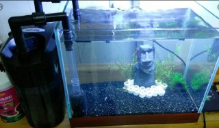 [photo](media:AgADBQADOKkxG8dwsFaP0SNQNbNlgvmAAjMABAEAAwIAA20AA9qxBQABFgQ@telegram)