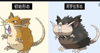 [photo](media:AgADBQADOKoxG48qaFfBTMz8KjBeWLaIAjMABAEAAwIAA20AA1d3AQABFgQ@telegram)