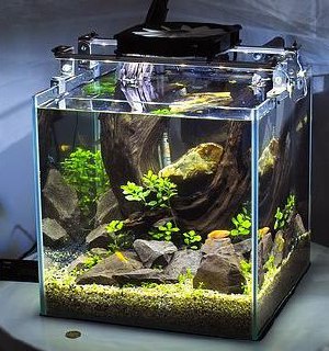 [photo](media:AgADBQADOakxGwABlWFVLswjiX9EB0uehgIzAAQBAAMCAANtAAOB4AMAARYE@telegram)