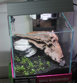 [photo](media:AgADBQADPKsxGwZLgFRmZ-azNXgF-dC2JTMABAEAAwIAA20AA7nBAQABFgQ@telegram)