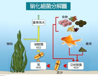 [photo](media:AgADBQADPakxG_grCFdDvKkdpBIxD7S5-TIABAEAAwIAA20AAwX6AQABFgQ@telegram)