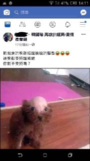 [photo](media:AgADBQADQKgxG6jZcVbKat0GRbcho_ei-TIABAEAAwIAA20AA6BbAQABFgQ@telegram)