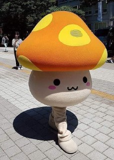 [photo](media:AgADBQADRKkxG5QSmFVA4rGfvdMvlLCB-TIABAEAAwIAA20AA9_LBQABFgQ@telegram)
