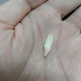 [photo](media:AgADBQADS6kxGz9H0FXNkzE2663j5tuj-TIABAEAAwIAA20AAyB5BQABFgQ@telegram)