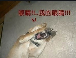 [photo](media:AgADBQADSKkxG4HKSFeaYlT_R87GDp6i-TIABAEAAwIAA20AA3dUAgABFgQ@telegram)