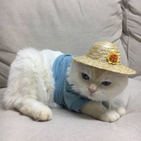 [photo](media:AgADBQADT6kxGyZWgVcQeYNxXg9hSSi3-TIABAEAAwIAA20AAzqSAgABFgQ@telegram)
