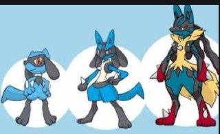 [photo](media:AgADBQADUqkxG5_YUFeMB0VowLt7n7pw-TIABAEAAwIAA20AA9vyAgABFgQ@telegram)