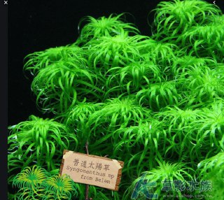 [photo](media:AgADBQADV6kxG7KSMVQW73fTPMHy1iWz-TIABAEAAwIAA20AA11hAwABFgQ@telegram)