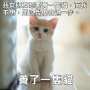 [photo](media:AgADBQADWLYxGy-_EAi5Wv6-7upPqCUbyjIABNzOjwjUoaSytLMAAgI@telegram)