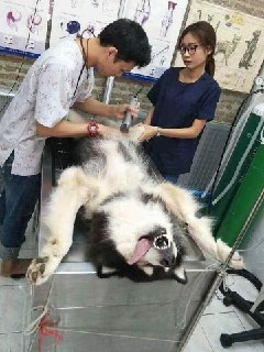 [photo](media:AgADBQADWqkxGz0egFey0qDZPZLtGMm7JTMABAEAAwIAA20AA0HBAAIWBA@telegram)