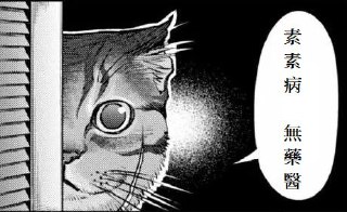 [photo](media:AgADBQADX6kxG8_vWFbMu9FUMDK2jM0fGzMABAEAAwIAA20AA8cZAAIWBA@telegram)