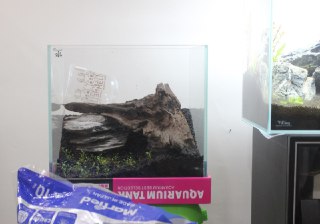 [photo](media:AgADBQADXKkxG8sGUVSyfjsaY7Qxp-ehJTMABAEAAwIAA20AA-mUAQABFgQ@telegram)