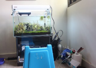 [photo](media:AgADBQADXKkxGyzN8VbXbznf5-0rspF3-TIABAEAAwIAA20AA8J7AgABFgQ@telegram)