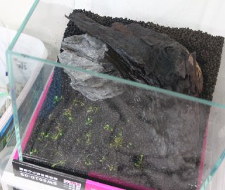 [photo](media:AgADBQADXakxG8sGUVQIY97o3oYmPua_JTMABAEAAwIAA20AA86UAQABFgQ@telegram)