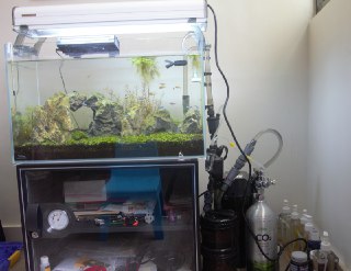 [photo](media:AgADBQADXakxGyzN8VaTHNRzzpKqanB6-TIABAEAAwIAA20AA-1_AgABFgQ@telegram)