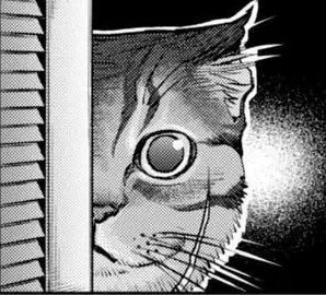 [photo](media:AgADBQADXqkxG8_vWFbhMiW8X7O9YiwhGzMABAEAAwIAA20AA-cYAAIWBA@telegram)