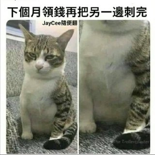 [photo](media:AgADBQADY6gxG4XUGFa4Cr8MhkyGePCv-TIABAEAAwIAA20AA-nyAAIWBA@telegram)