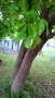 [photo](media:AgADBQADY6gxG5q2cFUTXHQ2Gp8hYqet0zIABOftO9fvMhHbT5gBAAEC@telegram)