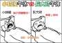 [photo](media:AgADBQADYqgxG6H0MFVi7Nk2mAFG7MWr0zIABPz51eQh4CiTHwEEAAEC@telegram)