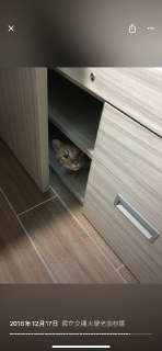 [photo](media:AgADBQADZ6kxG5FCyFevqoNExuonLeARGzMABAEAAwIAA20AA-mkAQABFgQ@telegram)