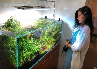 [photo](media:AgADBQADa6oxG7yS8VTHIncJWTUf4LCq-TIABAEAAwIAA20AAw5PBAABFgQ@telegram)