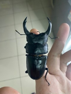 [photo](media:AgADBQADaKkxG9IdUVQG5e0jBTzA1Qc8GzMABAEAAwIAA20AA5MkAgABFgQ@telegram)