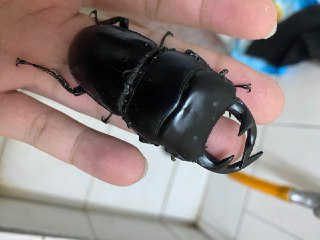 [photo](media:AgADBQADb6kxG9IdUVQN96wIfqLi7n6hJTMABAEAAwIAA20AA1WVAQABFgQ@telegram)