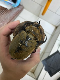 [photo](media:AgADBQADbKkxG9IdUVTpiilhuUknXcMxGzMABAEAAwIAA20AA5ImAgABFgQ@telegram)