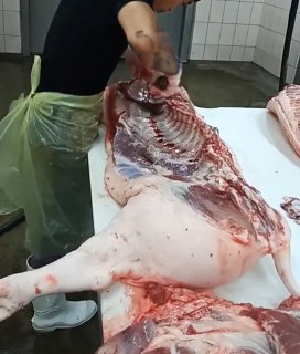 [photo](media:AgADBQADbakxG1e_sFcqVvC11LpQdl3AJTMABAEAAwIAA20AA2LzAAIWBA@telegram)