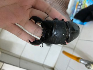 [photo](media:AgADBQADbakxG9IdUVTifqjfZ8Q8aH7EJTMABAEAAwIAA20AAxKSAQABFgQ@telegram)