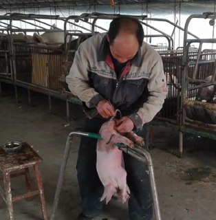 [photo](media:AgADBQADcKkxG-6OoFVVadu44CuSXD60-TIABAEAAwIAA20AA2Y2BQABFgQ@telegram)