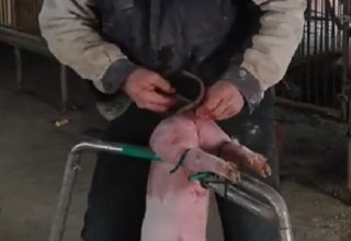 [photo](media:AgADBQADcakxG-6OoFVD9Cc8mG4cjtii-TIABAEAAwIAA20AA-9EBQABFgQ@telegram)