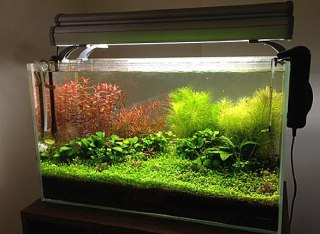 [photo](media:AgADBQADcqkxG8sGUVQjb3kGSeTaUVEqGzMABAEAAwIAA20AAz8fAgABFgQ@telegram)