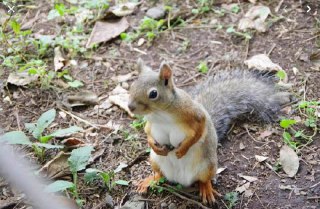 [photo](media:AgADBQADd6kxG-TucVdMzS8vHQABIH_lhwIzAAQBAAMCAANtAAPkhAEAARYE@telegram)