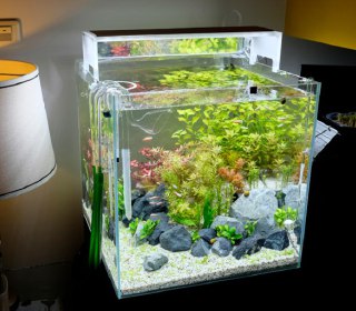 [photo](media:AgADBQADd6kxG9IdUVR9xeuX6jPIuzQqGzMABAEAAwIAA20AA2QpAgABFgQ@telegram)