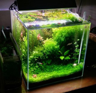 [photo](media:AgADBQADdakxG9IdUVQSDAZgrJpsd-ckGzMABAEAAwIAA20AA2gkAgABFgQ@telegram)