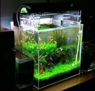 [photo](media:AgADBQADdqkxG9IdUVRPUJDGwamd3QoSGzMABAEAAwIAA20AA5knAgABFgQ@telegram)