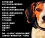 [photo](media:AgADBQADeagxG1IVYFblwfFbQ3Lgp-Nb9jIABMLSYJLII3uH0LYAAgI@telegram)